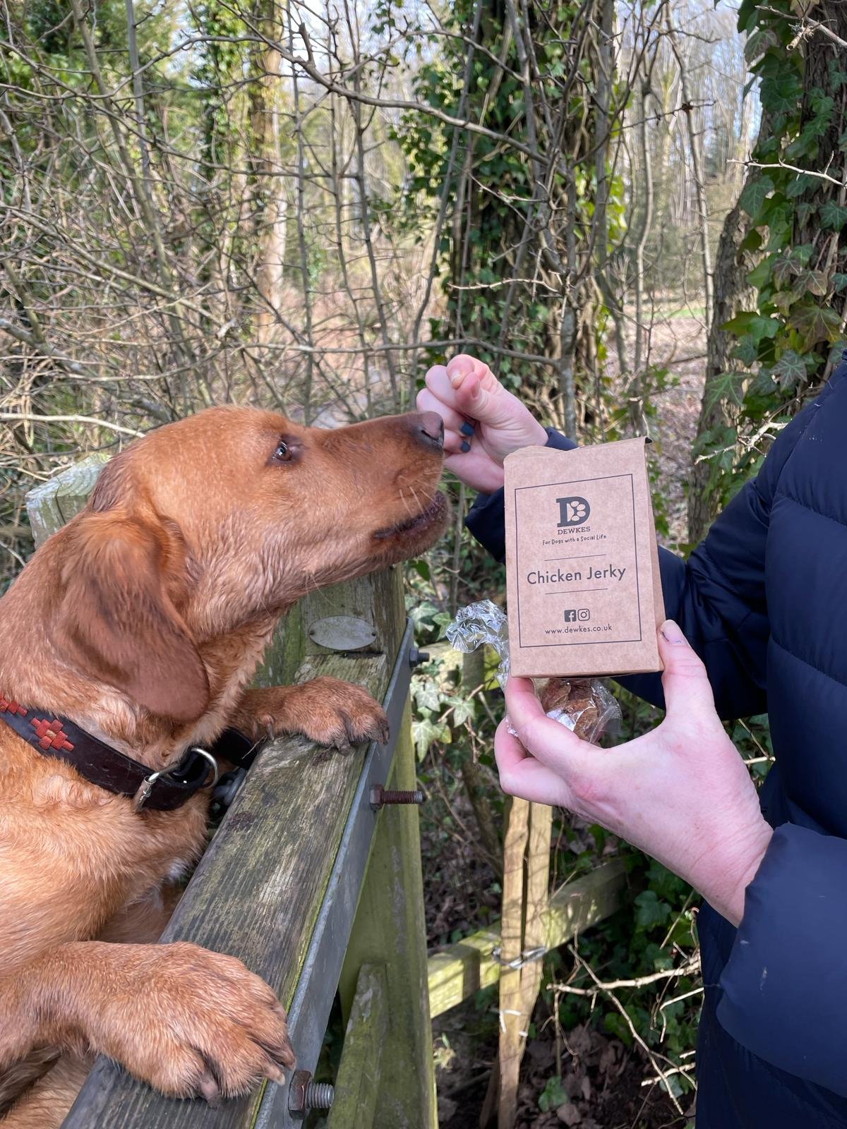 Eco Treats for Dogs